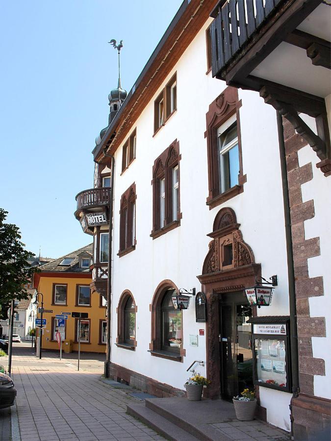 Hotel Neustaedter Hof Titisee-Neustadt Exteriér fotografie